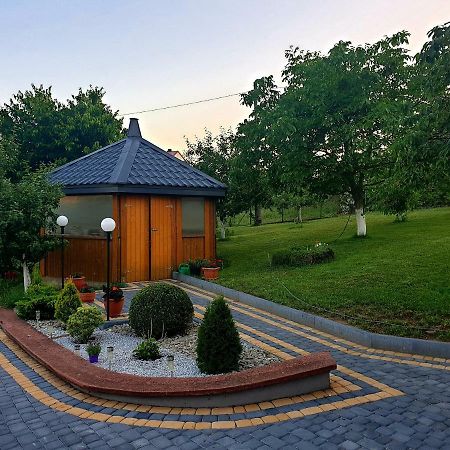 U Wladzia Apartment Gowidlino Exterior foto